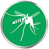Pest Control